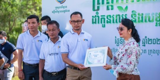 Tree Planting and City Clean